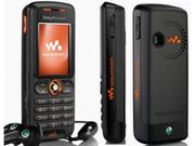 W200i +375292392486